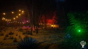 Help with farm life and give a hand in a magical garden