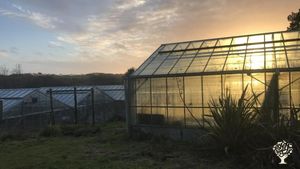 House and garden, allotment group, campsite