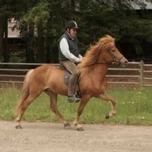 Erhard