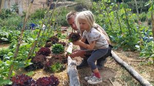 Permaculture community