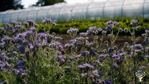 Maraîchage bio sur petite surface et poulailler mobile