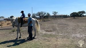 Quinta Agro-florestal Em Pinhal Novo