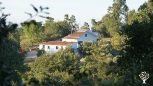 Farm in the center of Portugal