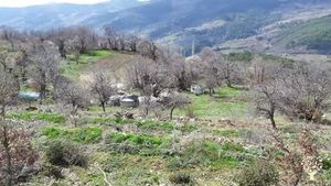 Smallholding, Family farm