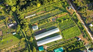 Micro ferme en Agroécologie.