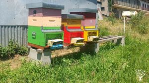 Azienda agricola con orto, frutteto e laboratorio di trasformazione