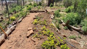 Family farm and ranch in rural Arizona near Zion National Park specializing in agritourism.