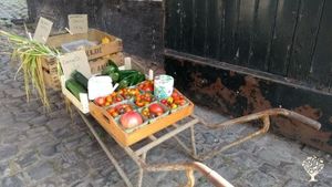 Community with organic vegetable garden and much more