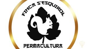 Finca de permacultura, policultivo, plantas medicinales, higos secos, cesteria salvaje.
