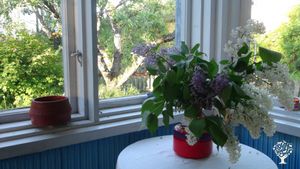 Family home and garden - rural, Agritourism Destination