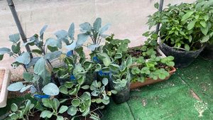 We are a Chilean-Australian couple.  We are renovating a country house near Barcelona.