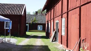 Rural farm with vegetatables and honey production. Fruit trees and berries. A small shop on the farm