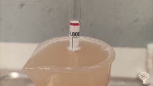 Elaboración de cerveza artesanal y ecológica.