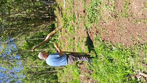 Agrofloresta familiar