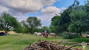 Family home and garden - rural