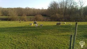Ferme vivrière la ferme sauvage