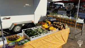 Ferme familiale biologique