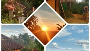 Permacultural life in the mountains