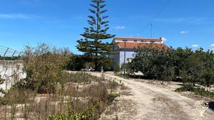 Permaculture property in the process and progress