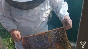 Landschaftspark mit Obstplantage, Bienen