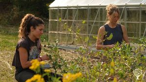 Nao (right) picking blueberries on a warm Summer day with Danielle, a WWOOFer-turned-lifelong-friend