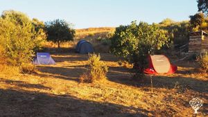 A cleared terrace on our land, now open and flat, creating a perfect space for camping tents.