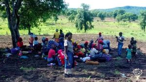 Ferme maraîchère et élevage avec visite du pays Bassari possible.  https://Gofund.me/15c2ea2f8