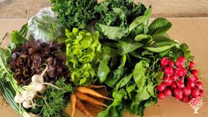 Permanent Center for Production, Innovation and Education in Regenerative Agriculture