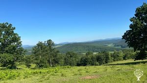 Organic homestead on the foothills of Western Carpathian Mountains.