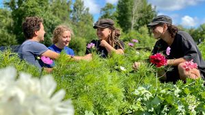 Regenerative market garden & flower farm with vegetables, sheep, hens and seasonal farm life