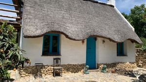 Homestead. Smallholding, Fruit tree Orchard