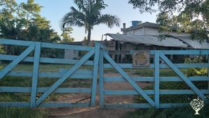 Little farm collective of 8 to 12 persons between children and adults