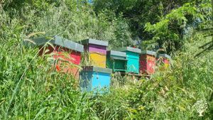 Azienda apistica con animali allevati felicemente e orto biologico