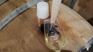 Azienda vitivinicola biologica e produzione di vino senza chimica.