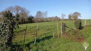 Petite ferme biologique diversifiée (Pommes de terres, élevage bovin,  céréales ... )