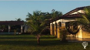 Elevage de poules, potager et plantation d'AçaÏ, Macaxeira inspiré de la forme syntropique