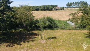 Biologisch bedrijf zonder veeteelt met grote moestuin