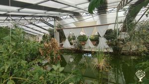Giardino Botanico in Acquaponica