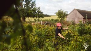 Smallholding, Family farm, Agriturismo Community farm