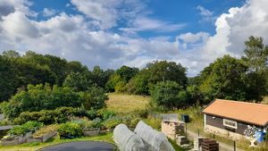 Self-sustaining garden with drip irrigation system, underground cellar and crop rotation.