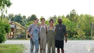 Former WWOOFer turned host 👩‍🌾 with new no-till regenerative fruit, veg and flower farm in IL