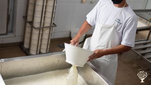 Queijaria artesanal, produção de orgânicos e criação de animais.