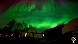 Organic Wild Sheep, Market Garden, and Dairy Farm