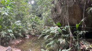 Ferme holistique visant l'auto-suffisance. Finca holística orientada a la autosuficiencia.