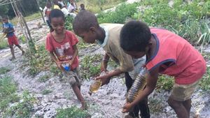 Centre d'accueil d'enfants errants et vulnérables/Champ-école