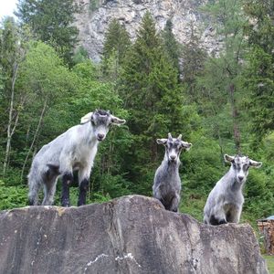 Lukas und Fabienne