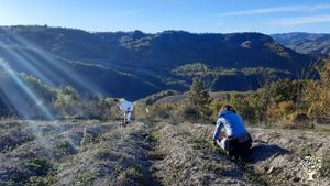 Azienda agricola in Alta Valmarecchia