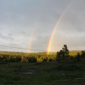Ellen Charlotte Horneman 