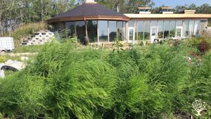 Biodynamic vegetable farm and earth ship