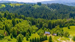 Serenity peak wants and aims to be about truth